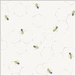 Afternoon in the Garden // Garden Bees - White - West Valley Quilting - Windham