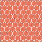 Afternoon in the Garden // Honeycomb - Coral - West Valley Quilting - Windham