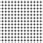 Black and White // Plus One in White - West Valley Quilting - Michael Miller