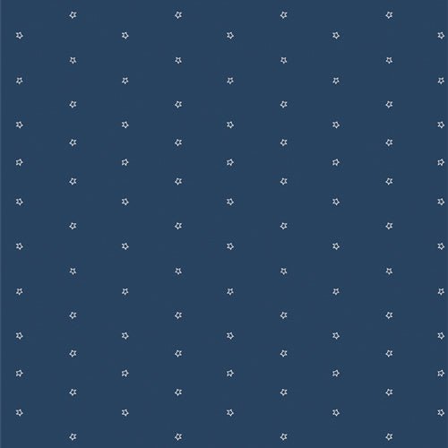 Bloomin Americana // Star Light End of Bolt - West Valley Quilting - Art Gallery Fabric