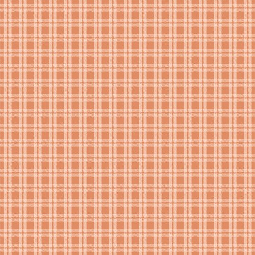 Fairview Avenue // Cozy Gingham Birch - West Valley Quilting - Art Gallery Fabrics