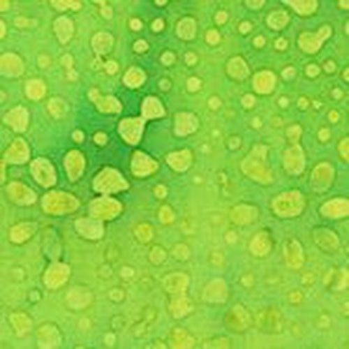 JDJ - Daisy Dots // Early Dew - West Valley Quilting - Anthology
