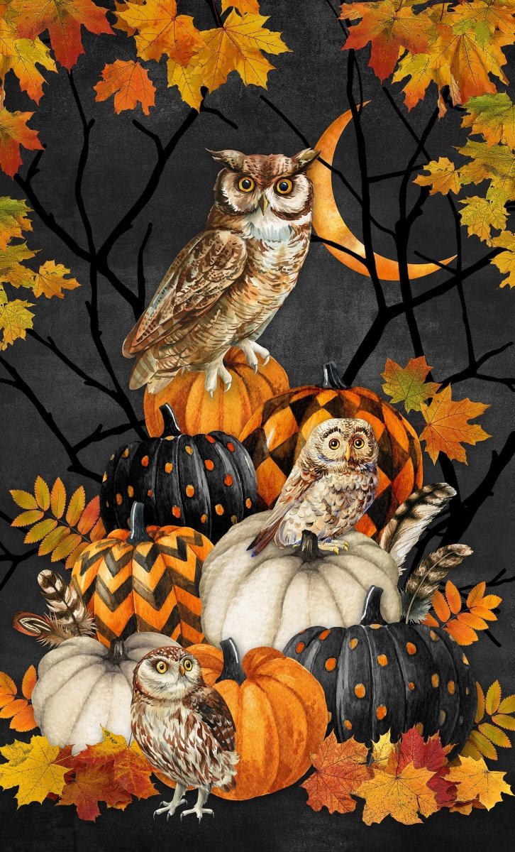 Night Owl // Night Owl Panel - West Valley Quilting - Northcott