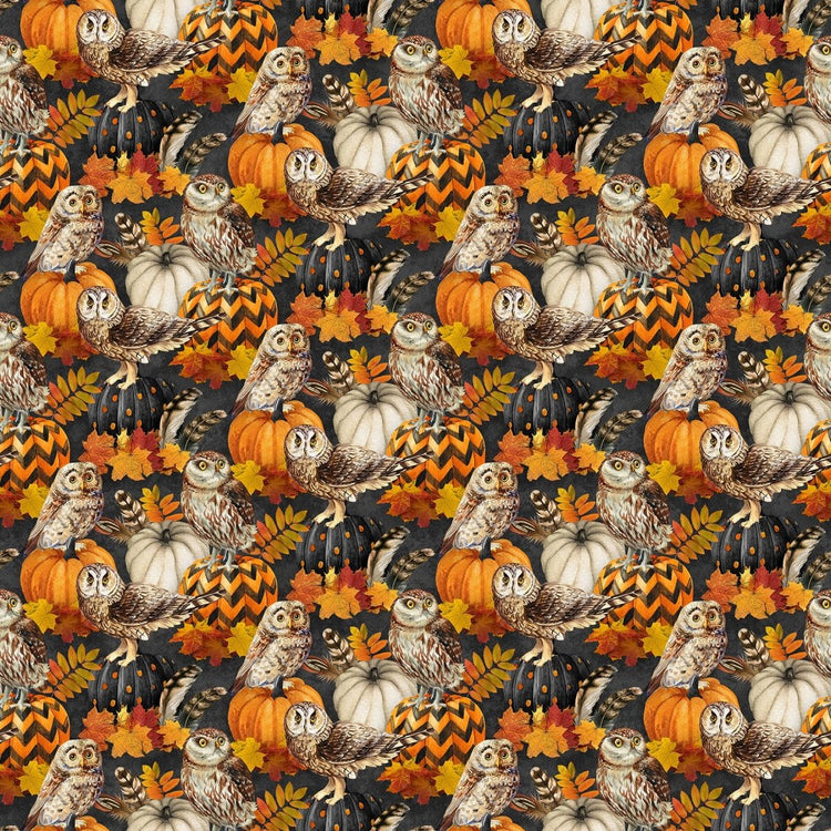 Night Owl // Owls on Pumpkins Black - West Valley Quilting - Northcott