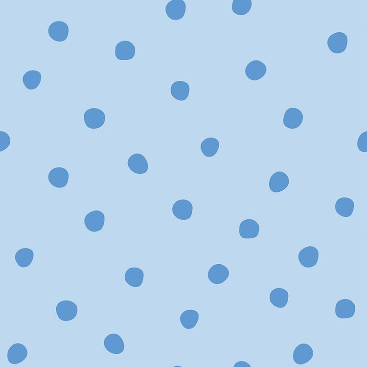 Sunny Skies // Dots Sky - West Valley Quilting - Riley Blake Designs