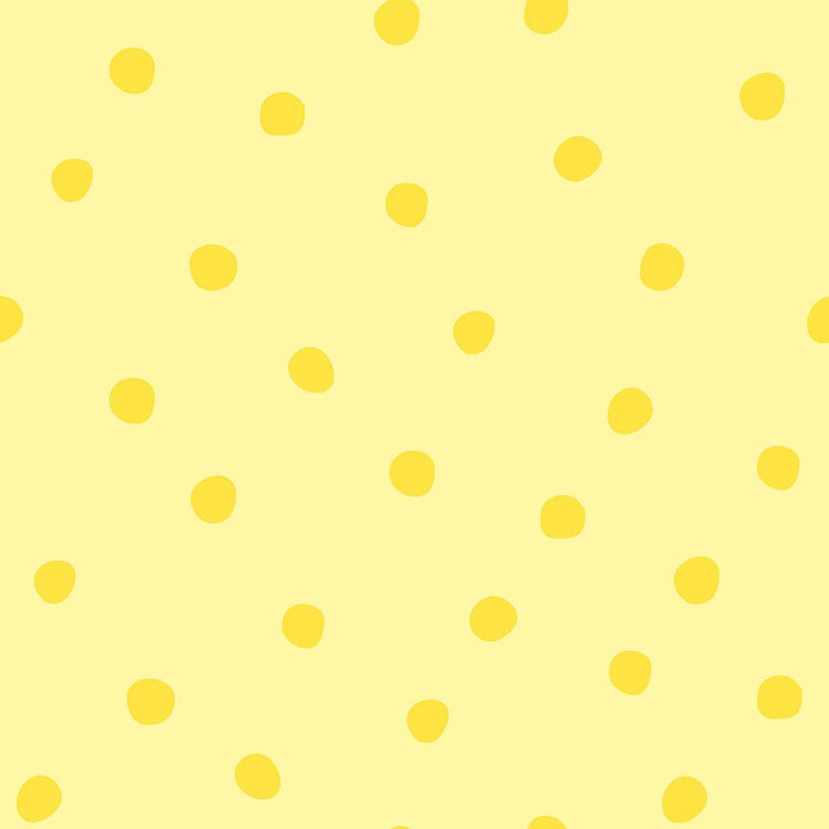 Sunny Skies // Dots Sun - West Valley Quilting - Riley Blake Designs