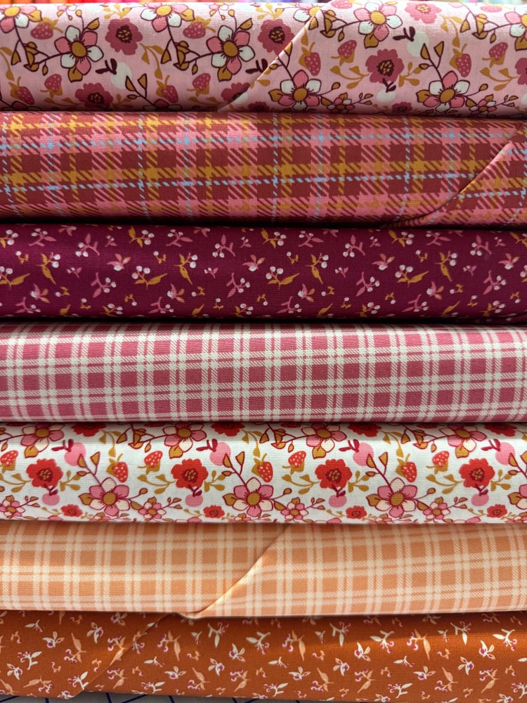 
                    
                      The Daphne Quilt Kit // Fairview Avenue - West Valley Quilting - West Valley Quilting
                    
                  