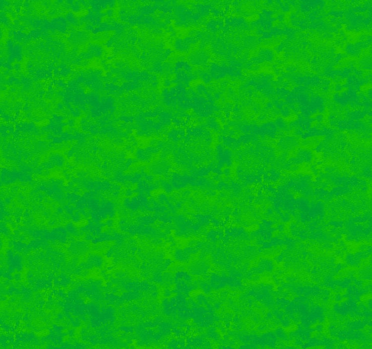 Toscana // Astroturf - West Valley Quilting - Northcott