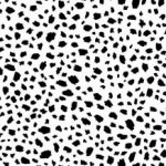 Black and White // Happy Spots in White