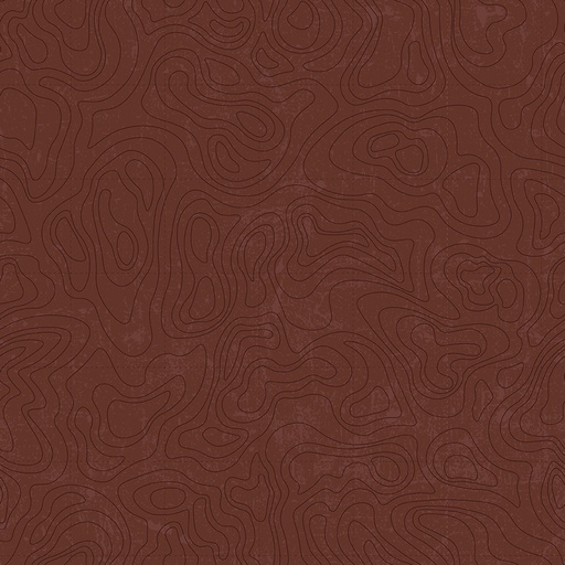 [C13293-BROWN] National Parks // Topographic - Brown