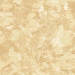 [DCX11756-HONE-D] Patina // Honey